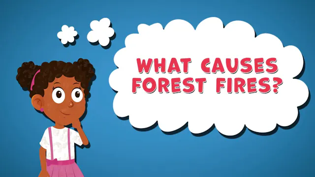 I WONDER - What Causes Forest Fires?