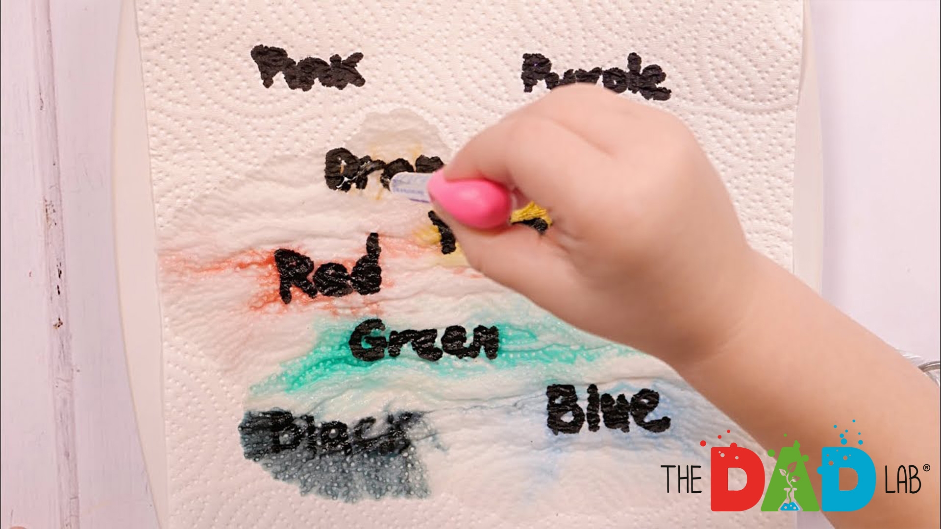How to Make Colours Appear From Words! Kids Science Project