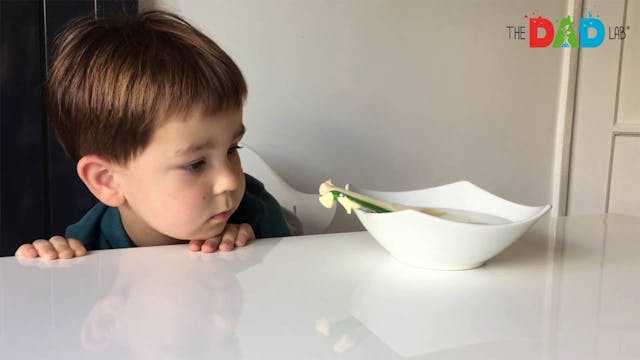 Kids Science: Testing heat conduction