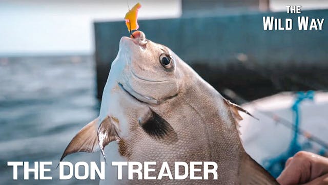 The Wild Way | The Don Treader