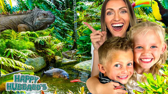 Explore Real Animals & Fish | Educati...