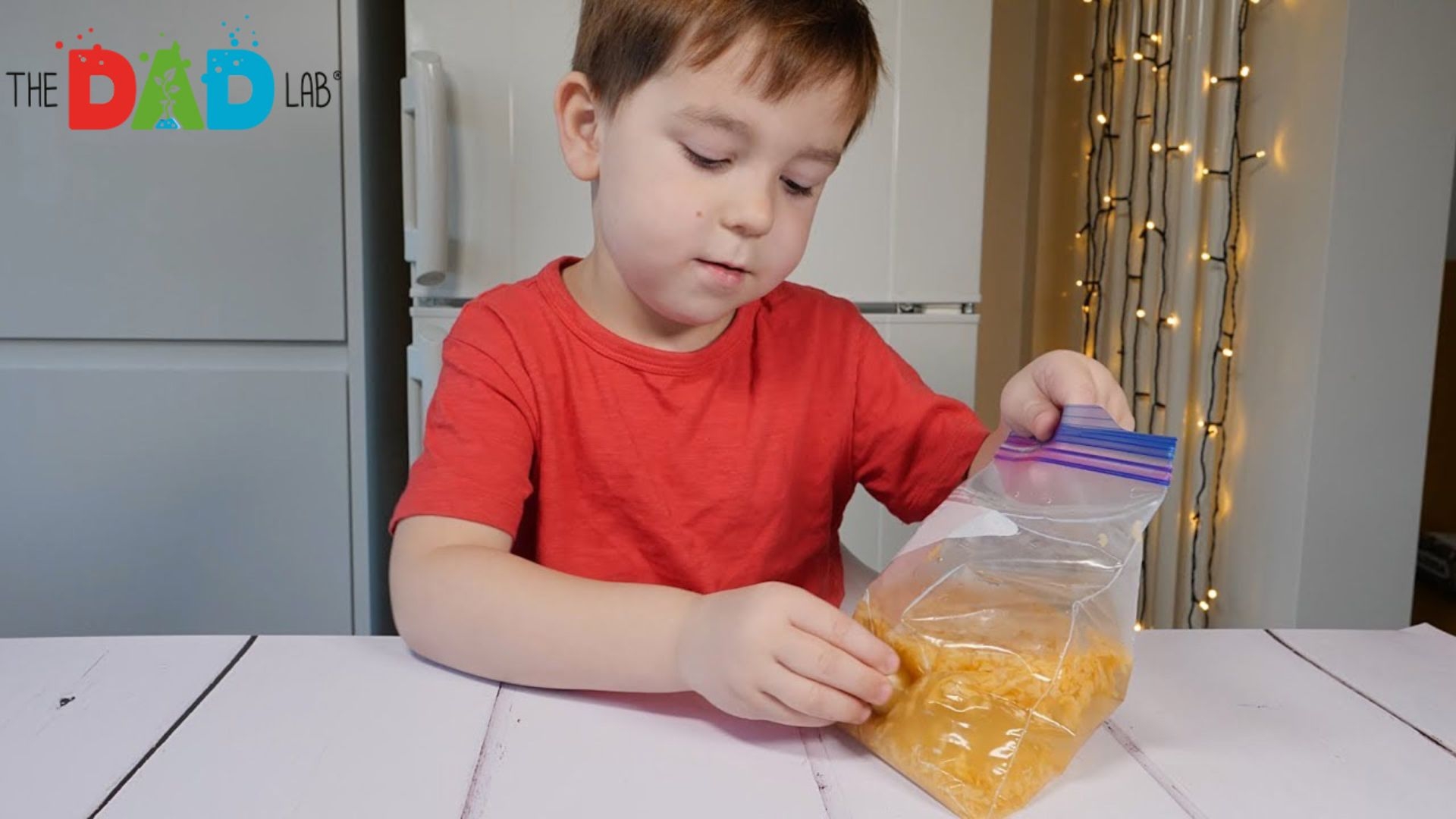 Simple Experiment with Cornflakes and Magnet #2