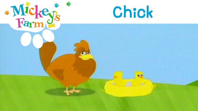 Chick