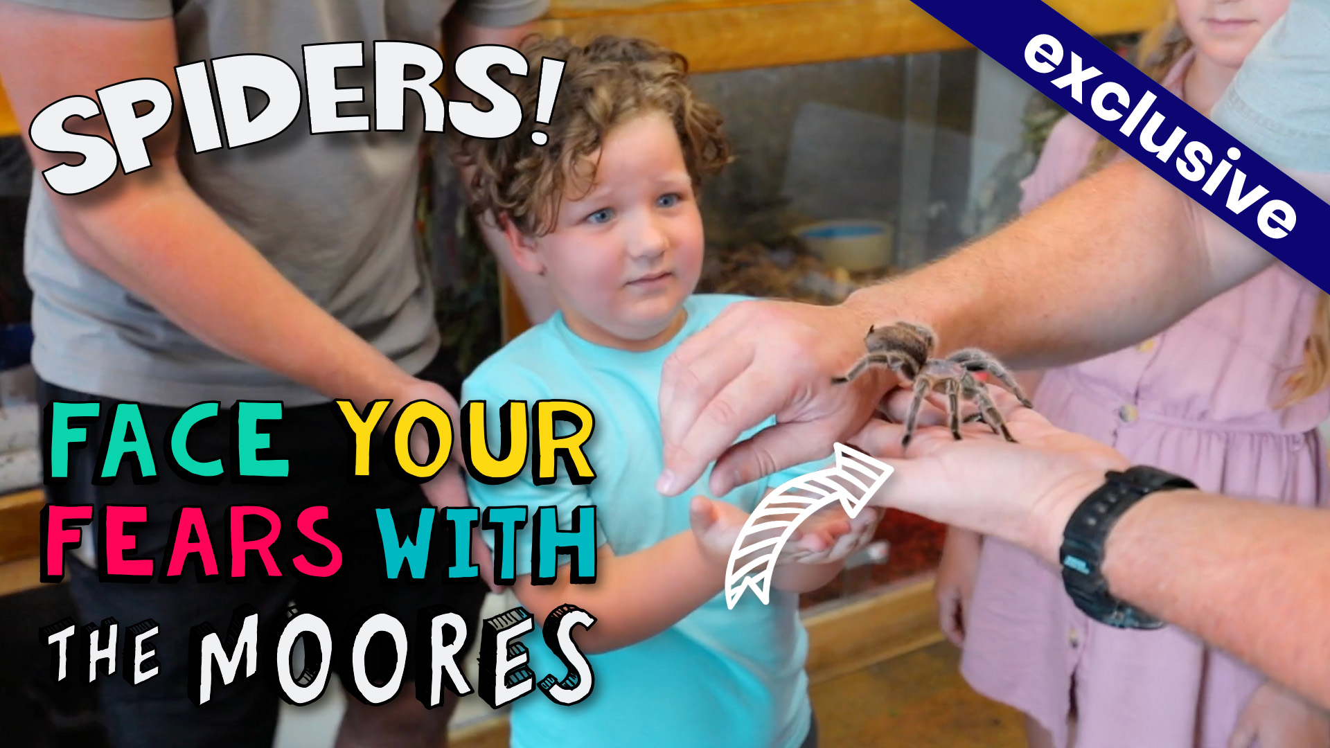 The Moores - Spiders