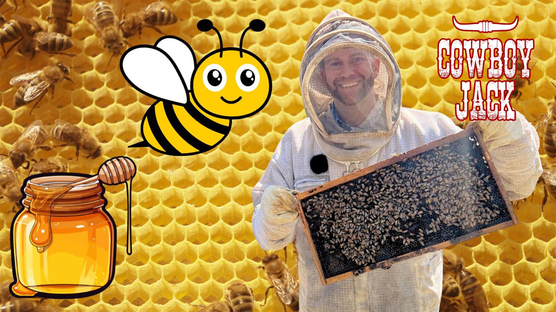 Learn about Bees with Cowboy Jack Bees for Kids