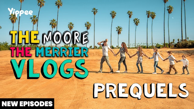 Moore The Merrier Vlogs