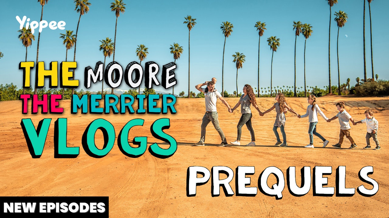 Moore The Merrier Vlogs