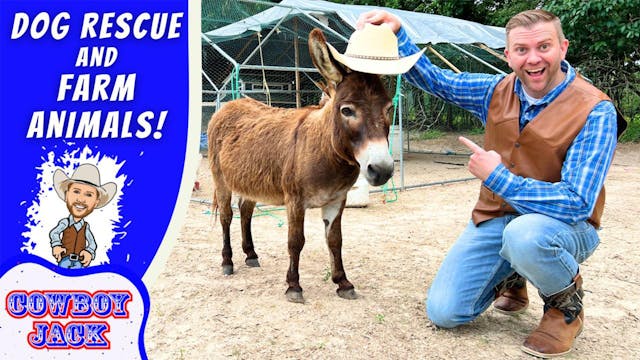 Visit a Dog Rescue | Meet Farm Animals