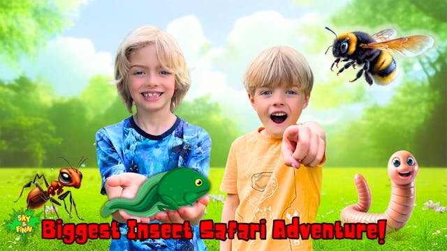Biggest Insect Safari Adventure!