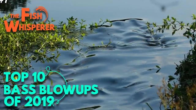 Top 10 Bass Blowups of 2019!