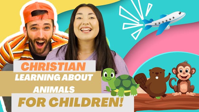 Flying An Airplane To Learn About Ani...