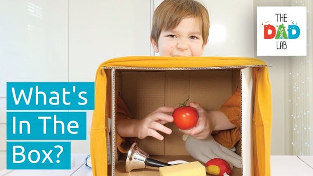 What's In The BOX | Kids Sensory Chal...