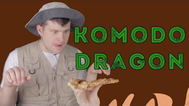 Komodo Dragon - Animal Facts 