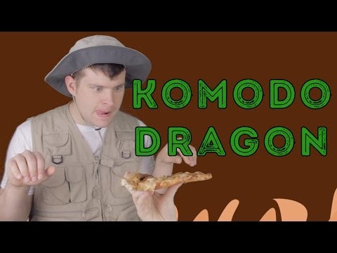 Komodo Dragon - Animal Facts 