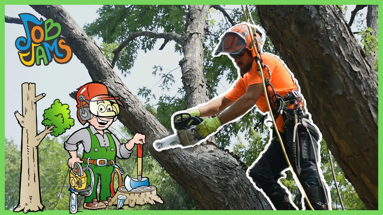 Tree Climber - Job Jams - Yippee - Faith filled shows!