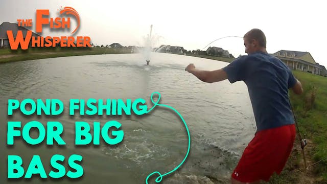 Pond Fishing for Big Bass