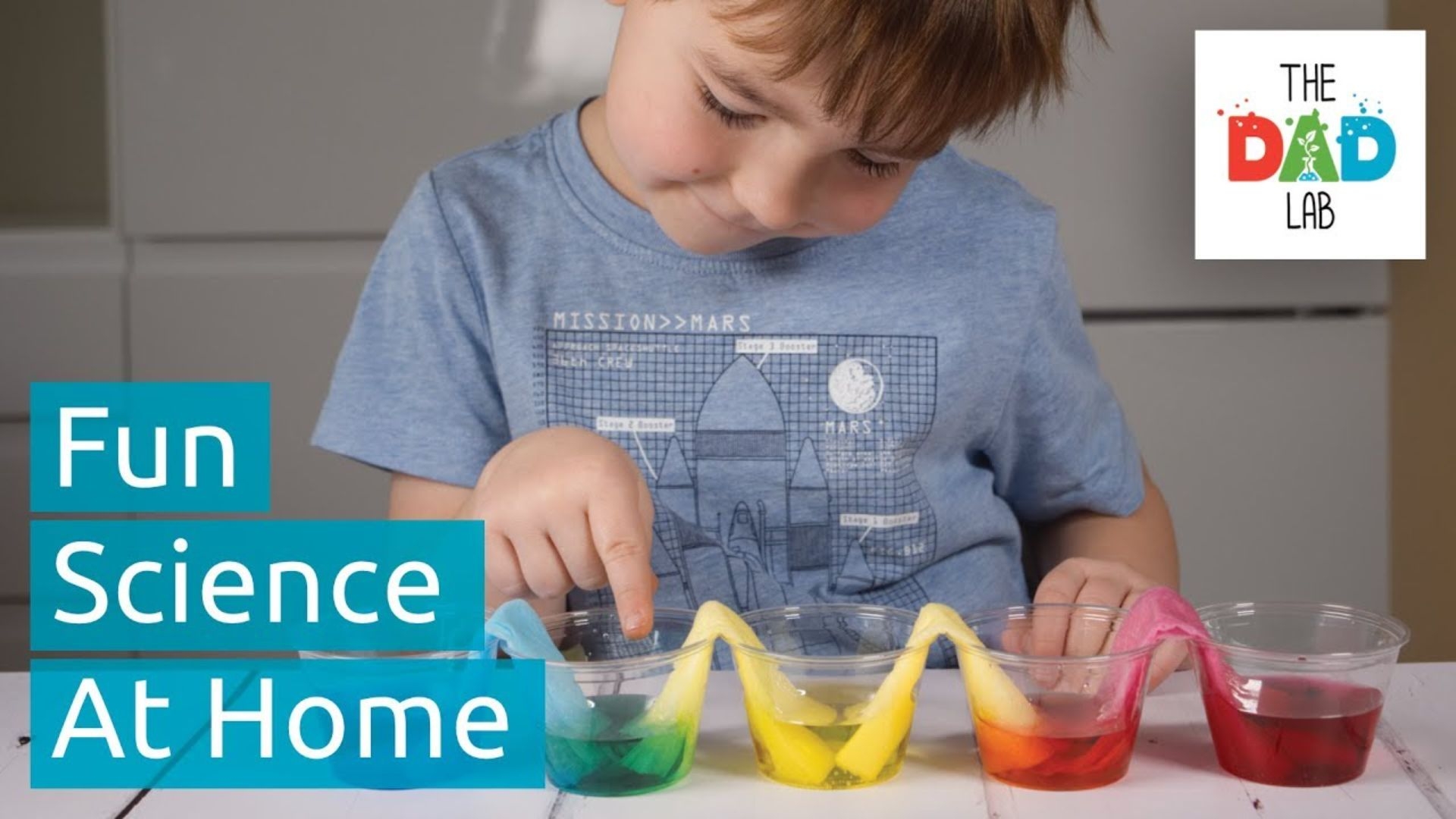 Travelling Colours Experiment For Kids