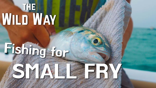 The Wild Way | Fishing for Small Fry