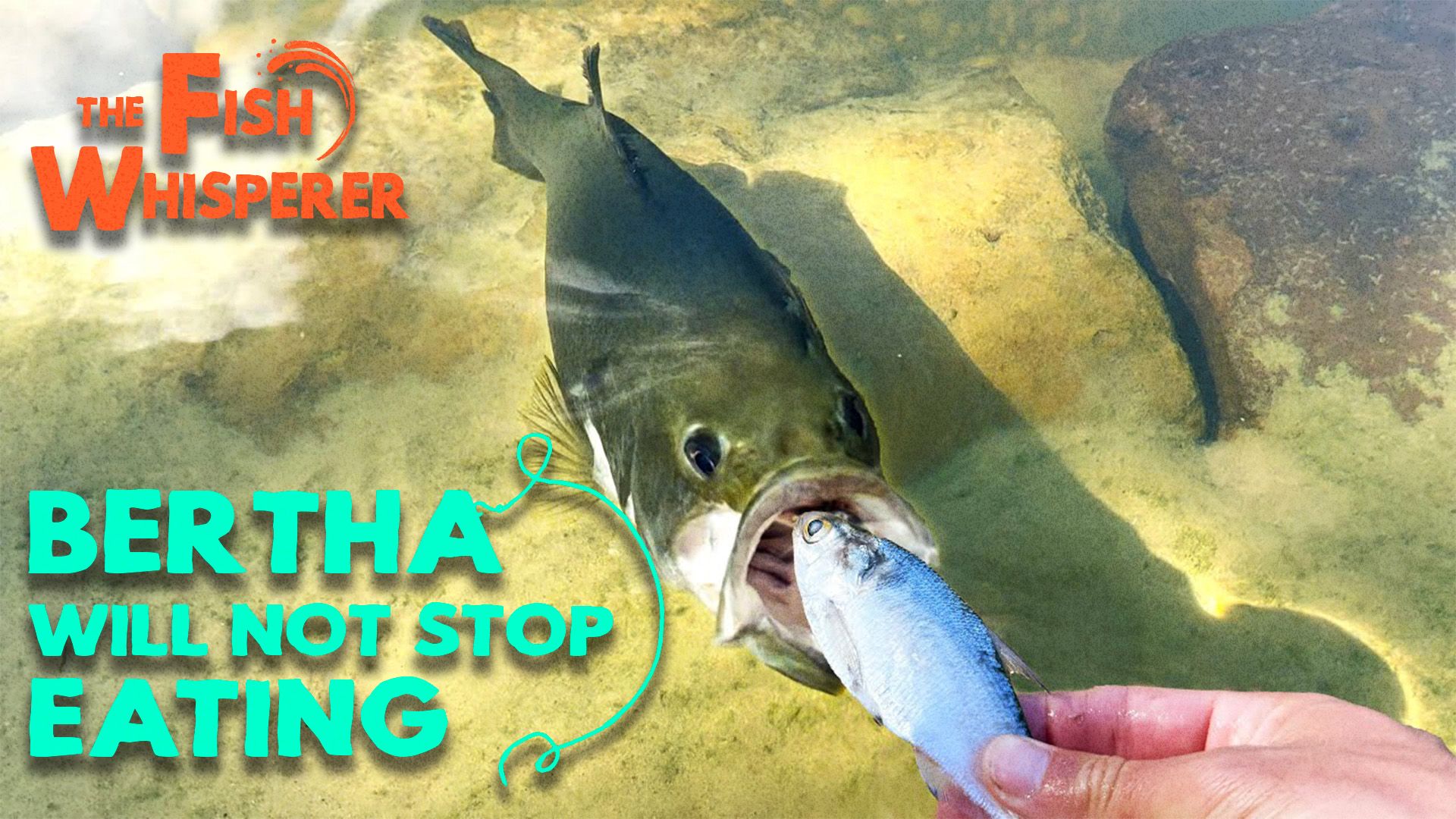 Bertha Won't Stop Eating!