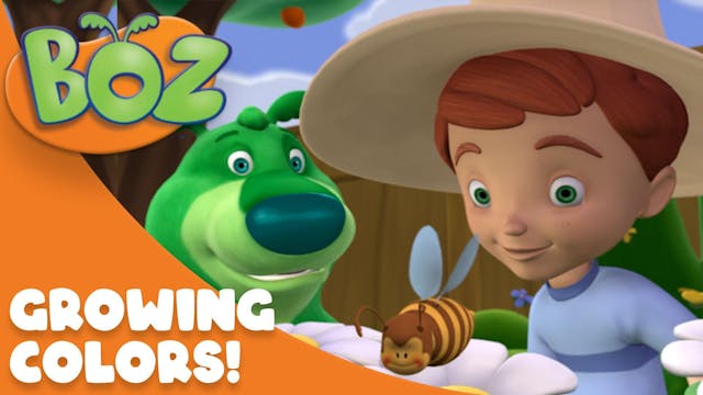 BOZ: Growing Colors!
