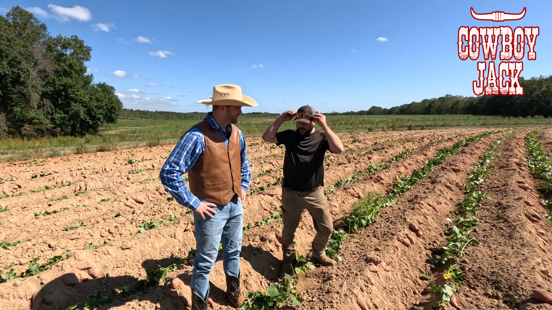 Fun at Jones Family Farms! Learn How the Best Sweet Potatoes Grow