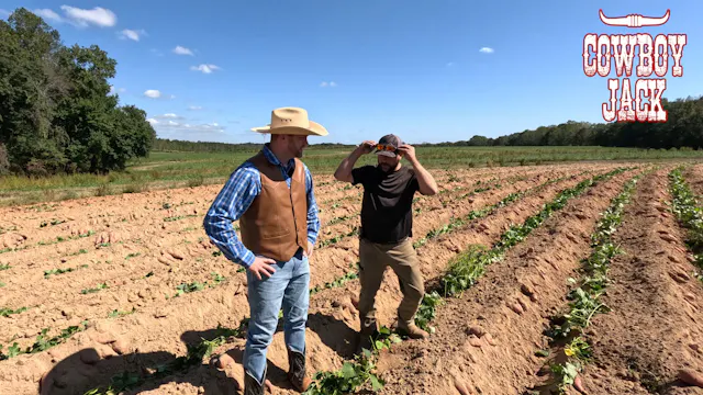 Fun at Jones Family Farms! Learn How ...