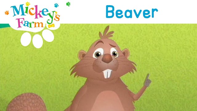 Beaver