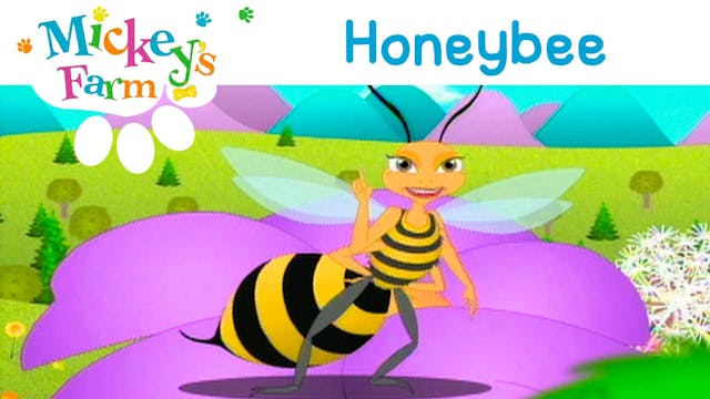 Honeybee