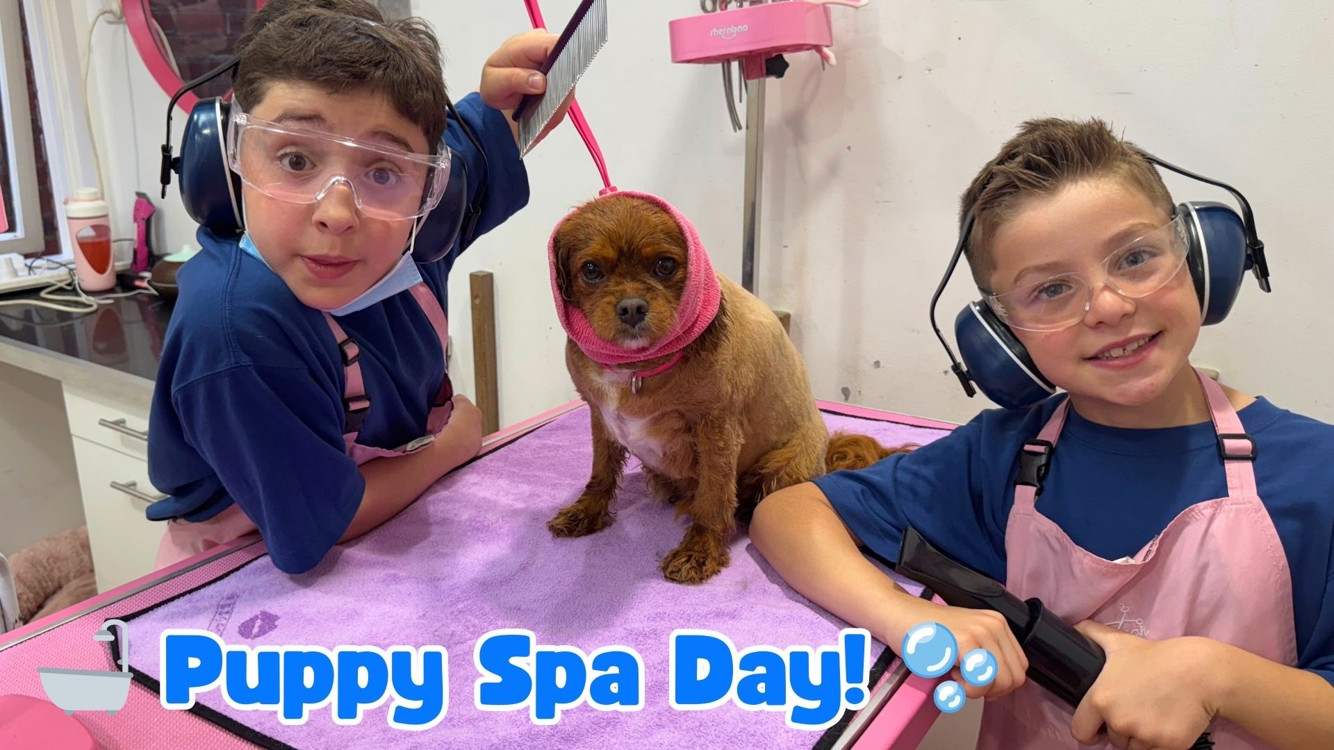 Puppy Spa Day! Oliver and Lucas Groom Their Cute Pets