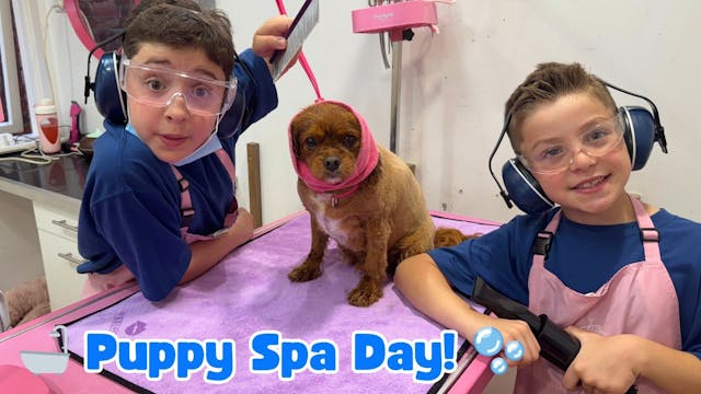 Puppy Spa Day! Oliver and Lucas Groom...