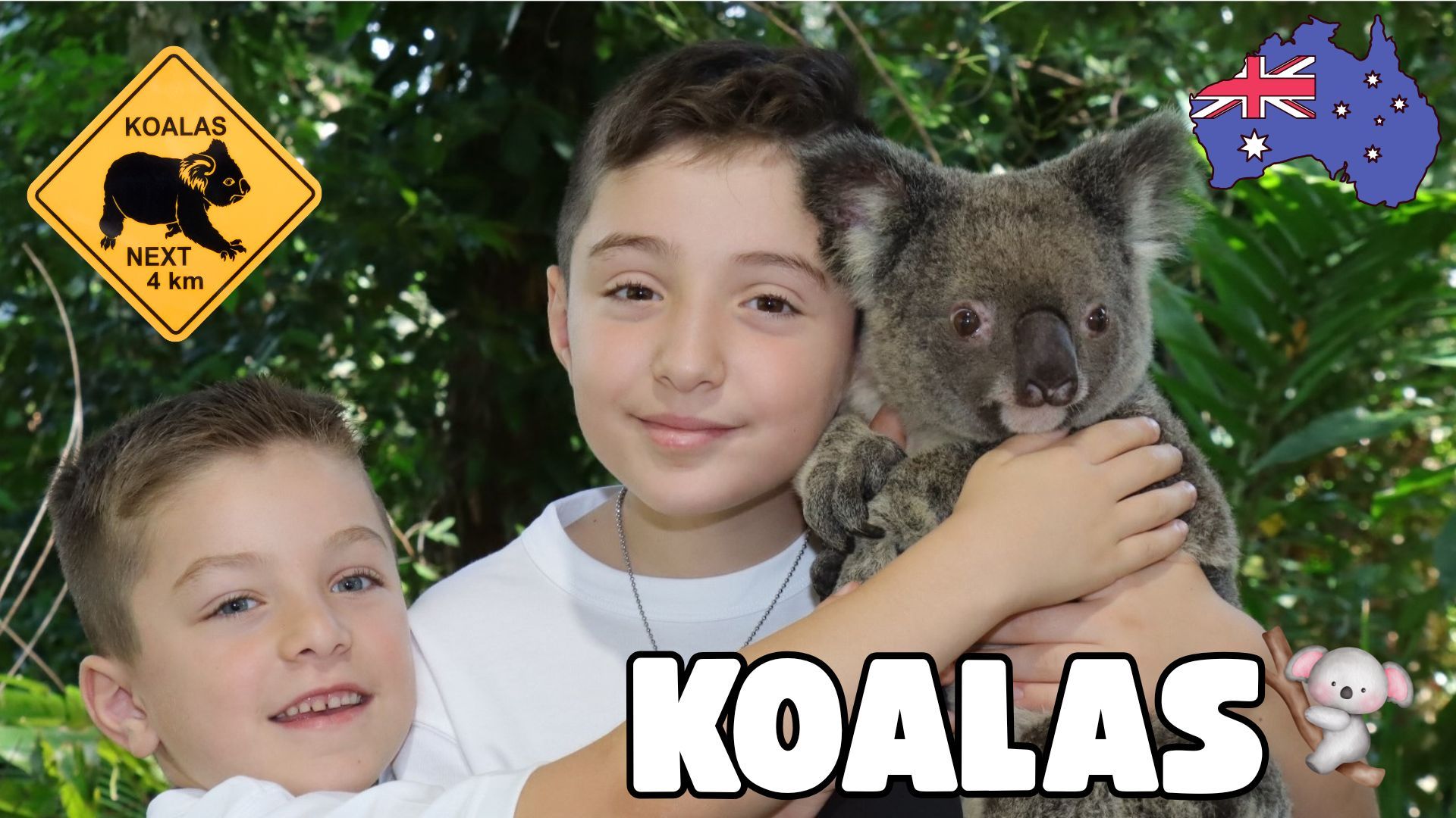 Cuddles with Koalas! Oliver & Lucas Meet Australia’s Cutest Animal