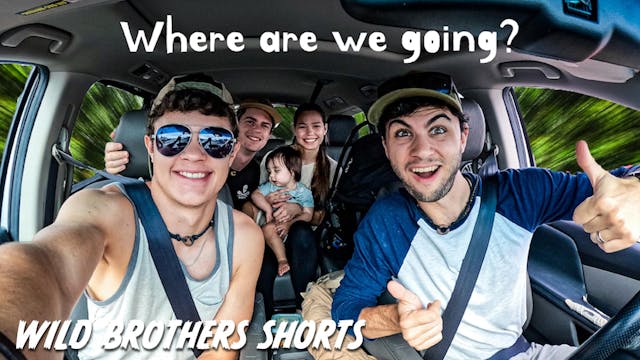 Wild Brothers Shorts | We Go On A Mys...