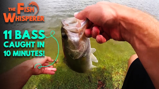 Hookup baits coupon code
