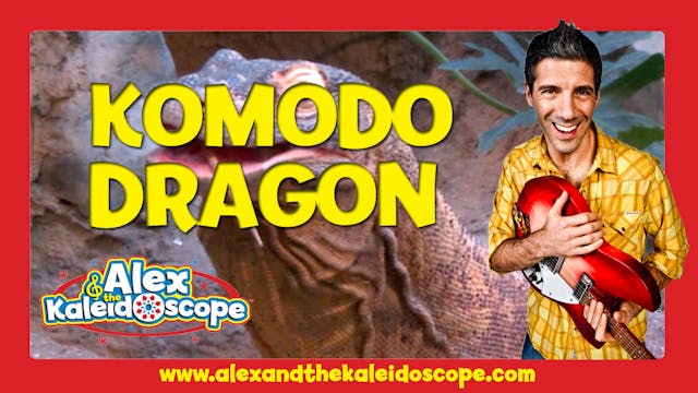 REPTILES- Komodo Dragon
