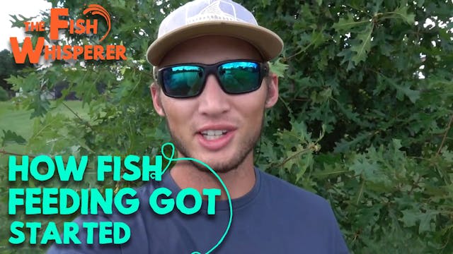 How Fish Feeding Got Started!