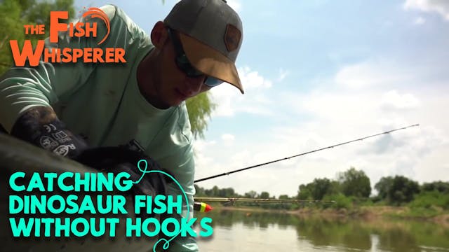 Catching Dinosaur Fish Without Hooks!