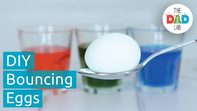 How to Make Bouncy Egg Science Experi...