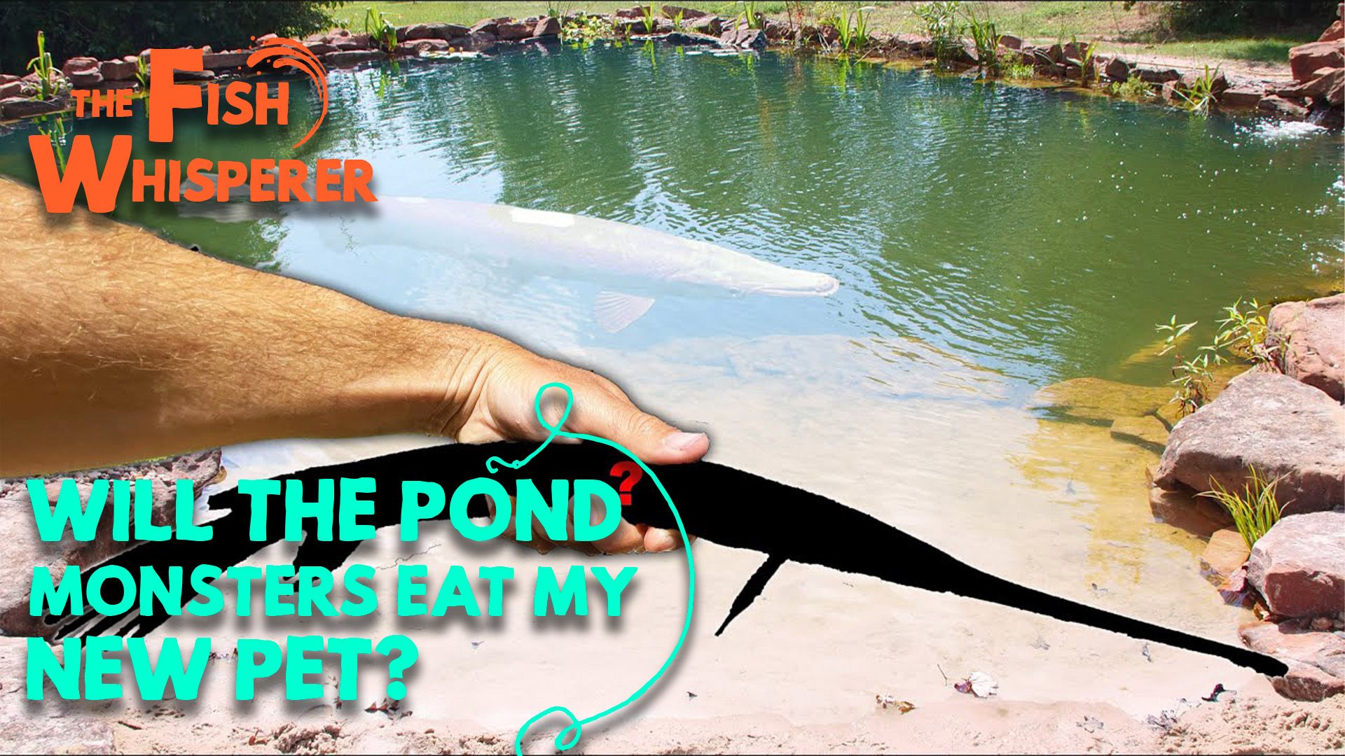 Will the Pond Monsters Eat My New Pet