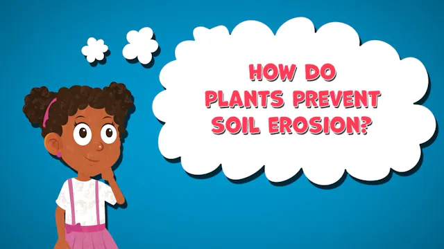 I WONDER - How Do Plants Prevent Soil...