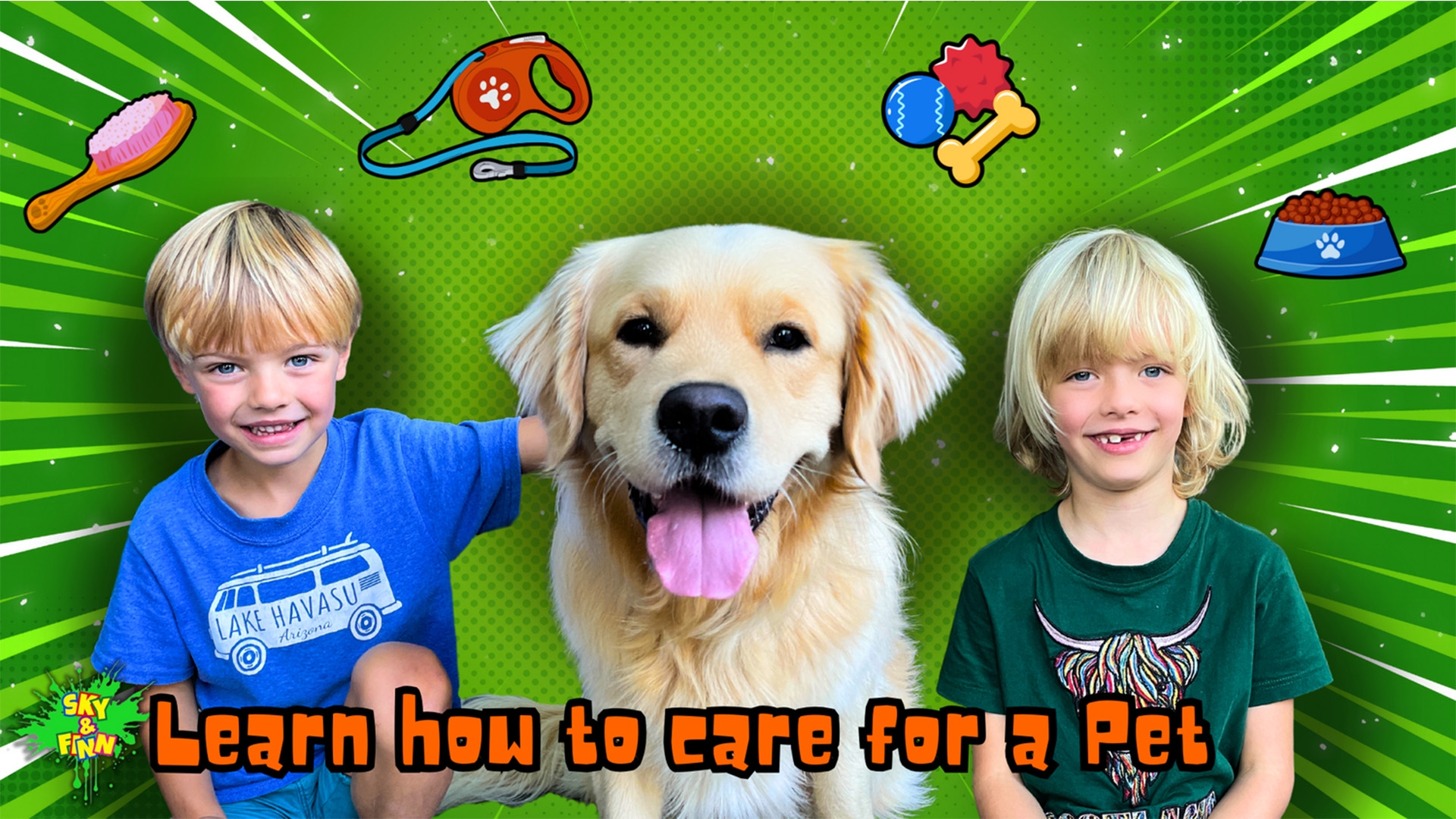 Learn How to Care for a Pet