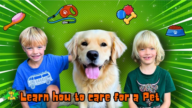 Learn How to Care for a Pet