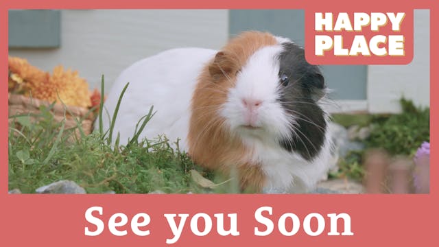 See You Soon