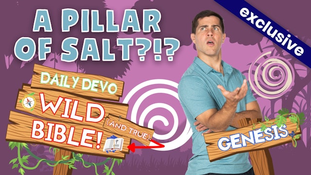 #608 - A Pillar of Salt?!?