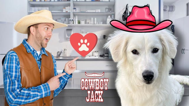 Cowboy Jack Visits the Vet! Learning ...