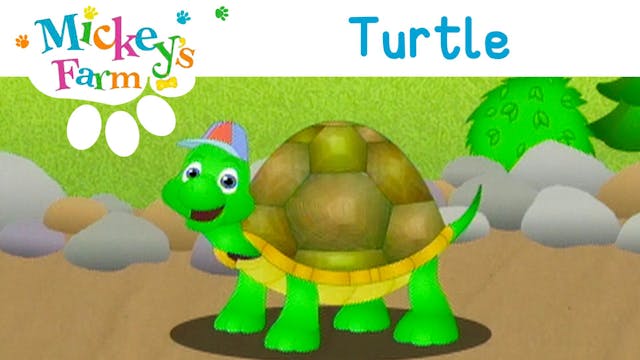 Turtle