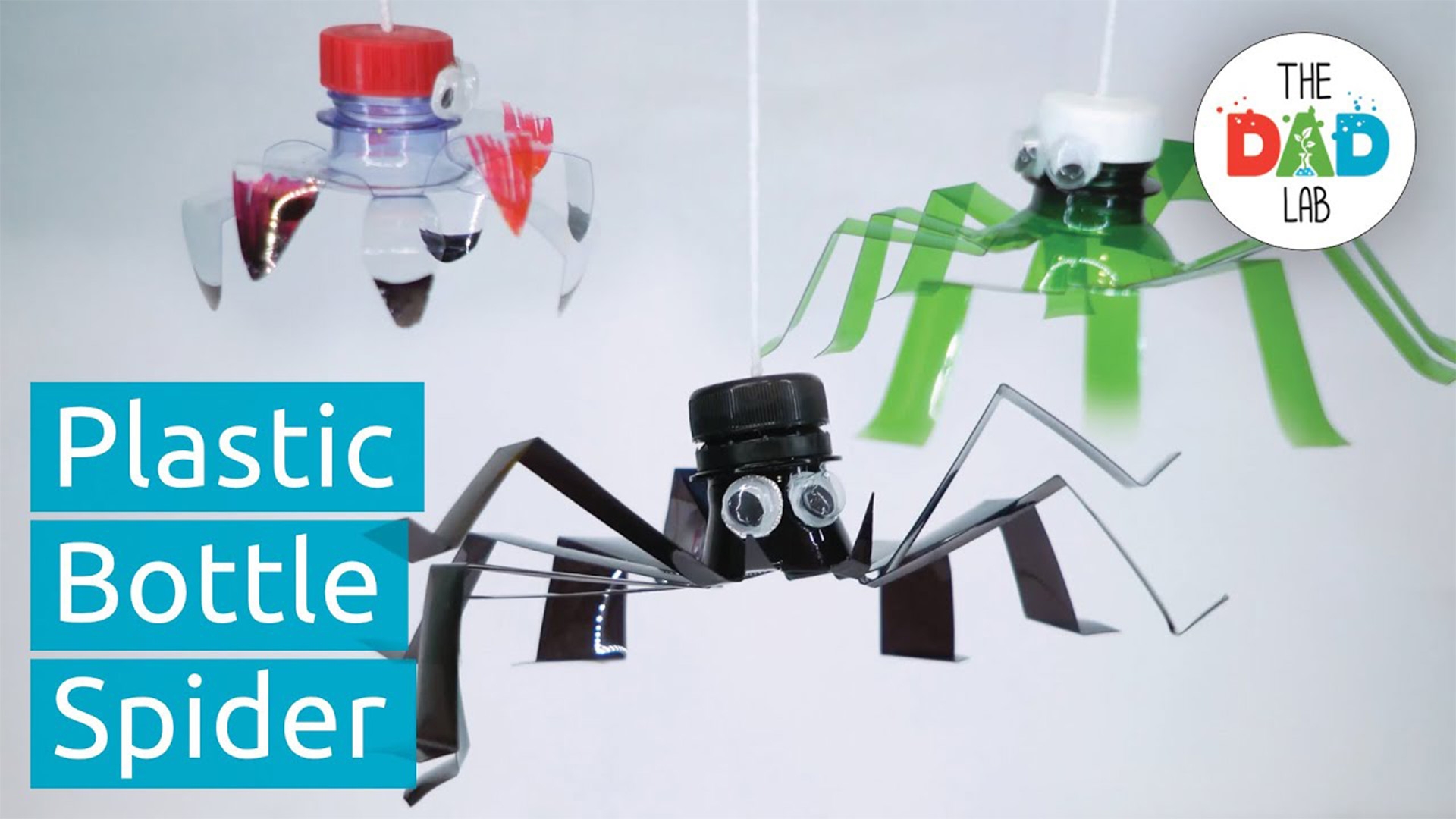 Plastic Bottle Spider with DIY Googly Eyes