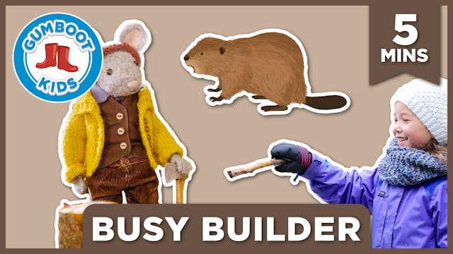 Busy Builder