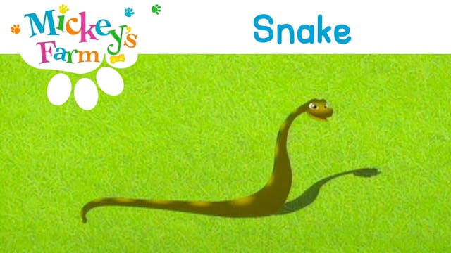 Snake