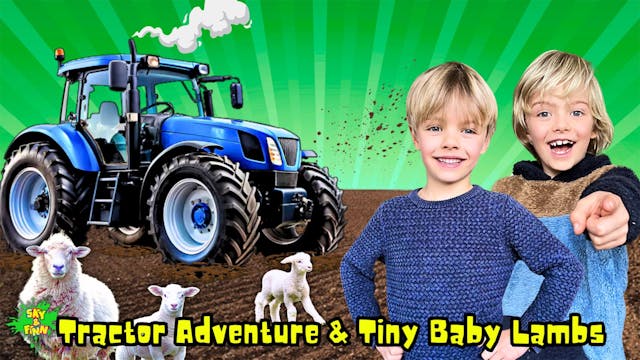 Tractor Adventure and Tiny Baby Lambs