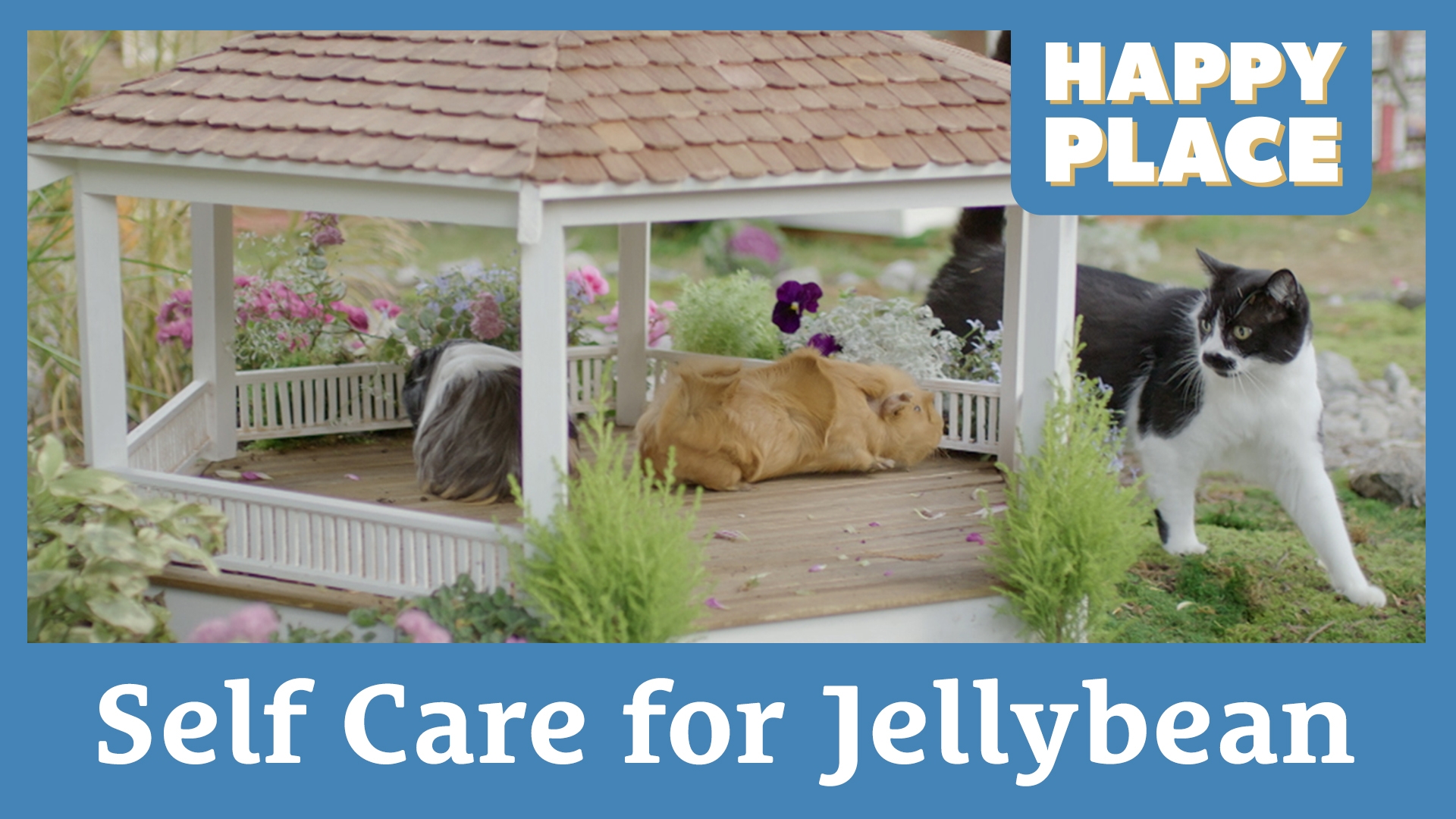 Self Care for Jellybean